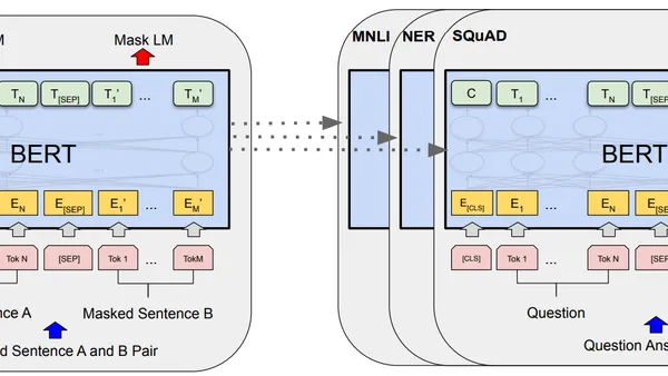 Destripando a BERT: Nuevo modelo de Google NLP